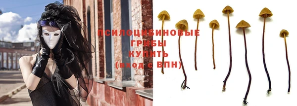 меф Белокуриха