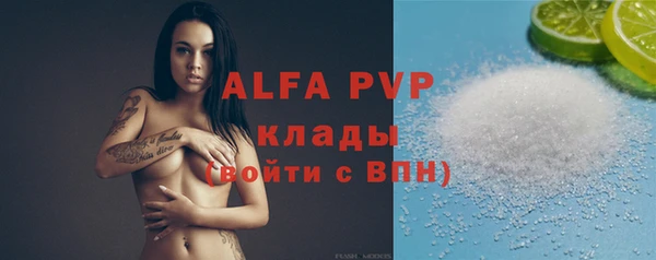 индика Алексин