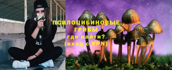 меф Белокуриха