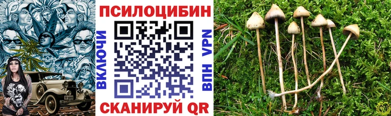 Галлюциногенные грибы ЛСД  Чернушка 